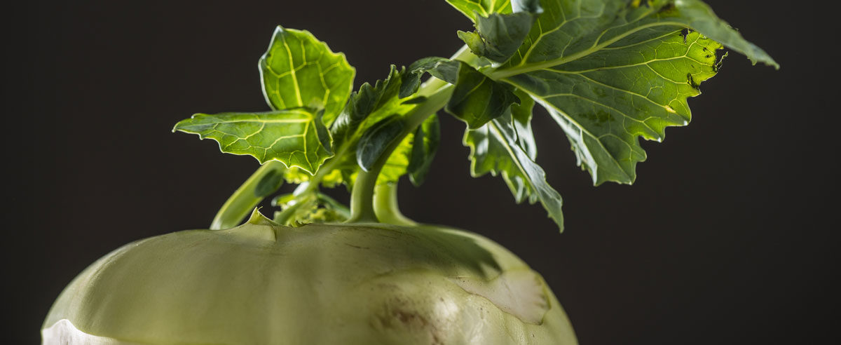 Kohlrabi