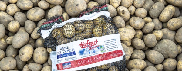 Wels - Der Trendfisch