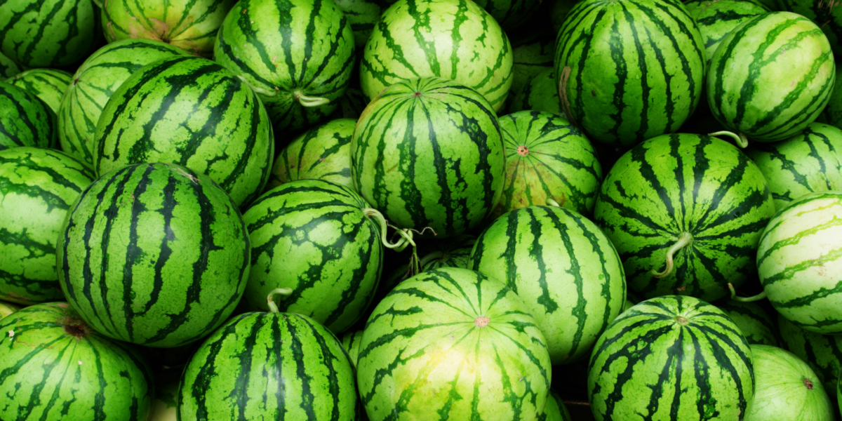 Many,Big,Sweet,Green,Watermelons,And,One,Cut,Watermelon