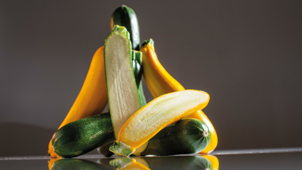 Header_Zuccini