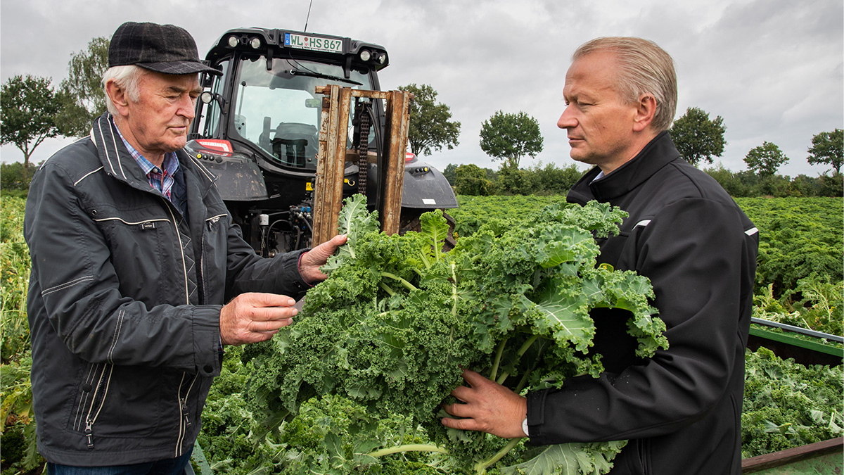 Header_Lueders-Gruenkohl-Ernte