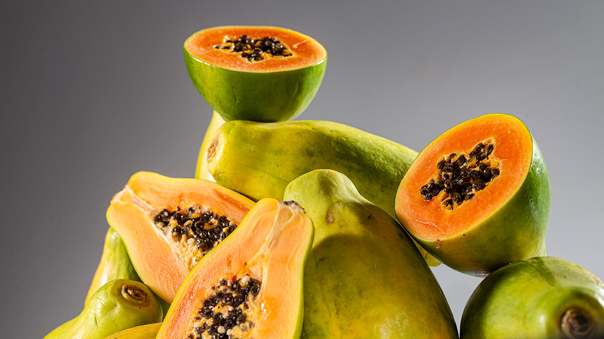 Header_Papaya