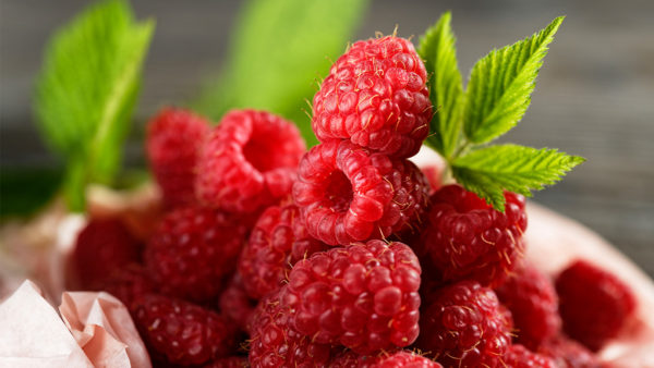 Header_Himbeeren