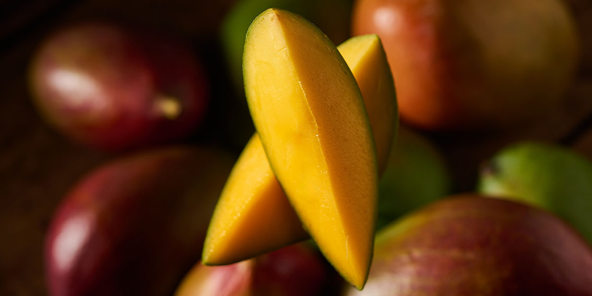 Header_2024_Mango