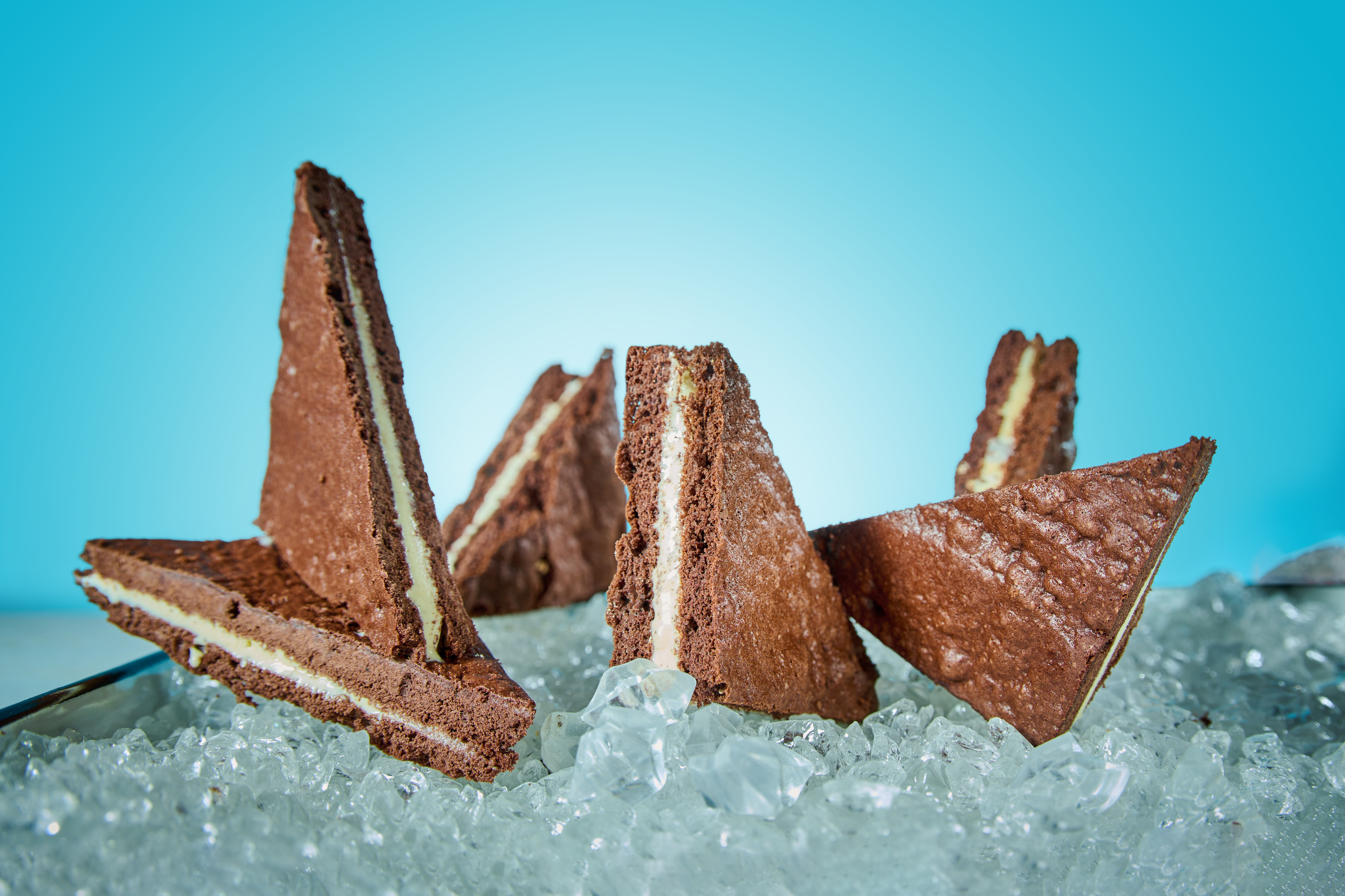 2407-R-Eiscreme-Sandwich-2573-1
