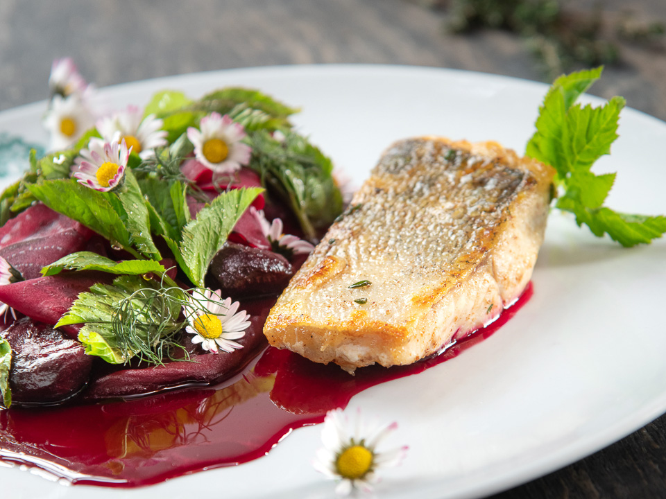 Zanderfilet mit Rote-Bete-Sinfonie