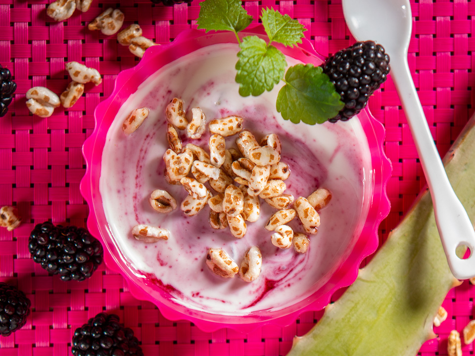 Brombeer-Joghurt-Bowl mit Aloe Vera Brombeer-Joghurt-Bowl mit Aloe Vera
