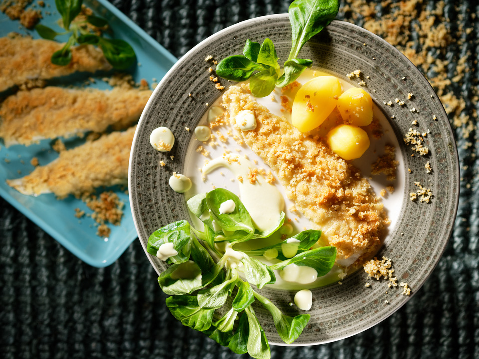Zander mit Meerrettichkruste auf Feldsalat