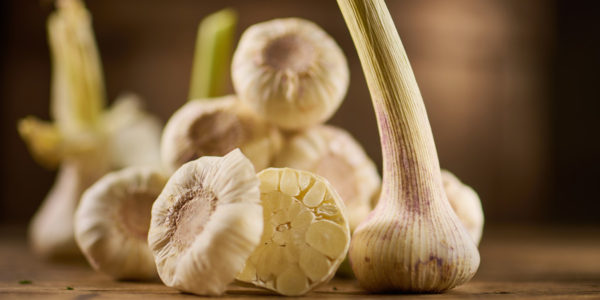 Knoblauch