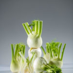 Fenchel