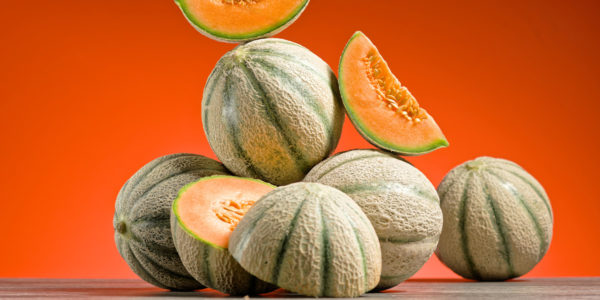 OG_Cantaloupe-Melonen