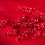 Rote Johannisbeeren
