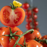 Tomate