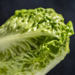 Mini-Römersalat