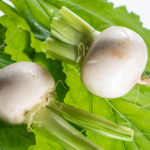 Mairübe