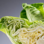 Spitzkohl