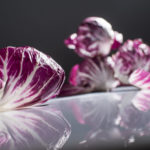 Radicchio