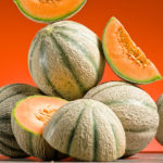 Cantaloupe-Melone