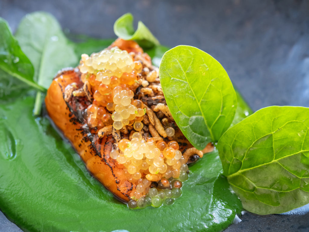 Geflämmte Eismeerforelle mit Kokos-Spinat